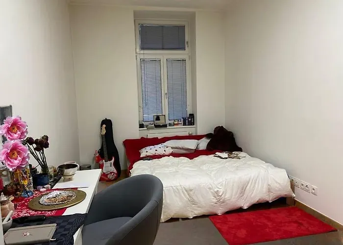 Luxury Serviced 3-bedroom Flat In Vienna's 1st District Vienna